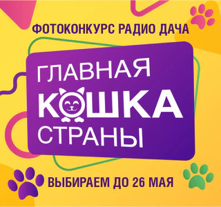 Главная кошка страны